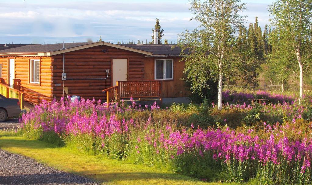 Arctic Chalet Resort Інувік Екстер'єр фото
